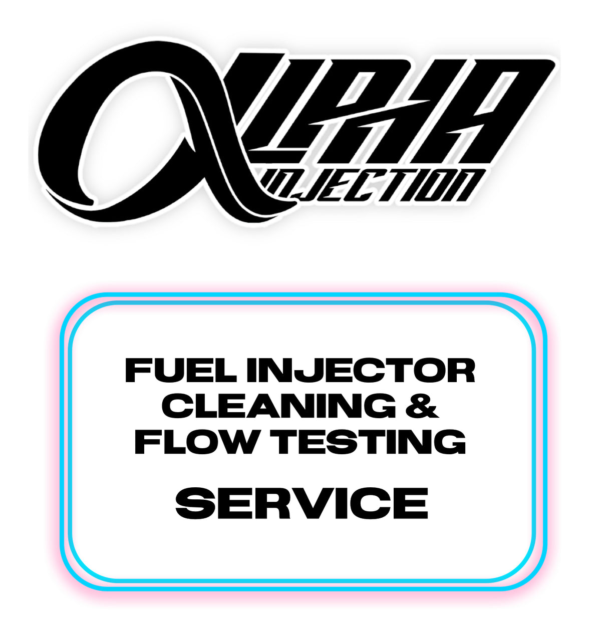 Fuel Injector Cleaning Flow Testing Service ASNU